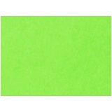 Картон цветной тонированный А4, Лилия Холдинг, 200г/м2, 50л., зеленый