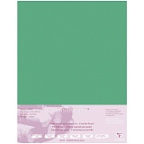 Бумага для пастели 5л. 500*700мм Clairefontaine "Pastelmat", 360г/м2, бархат, темно-зеленый