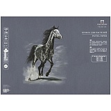 Бумага для пастели 10л. 500*700мм Лилия Холдинг "Палаццо", 160г/м2, серый жемчуг