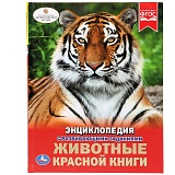 Энциклопедия Умка А4 "Животные красной книги", 48стр.