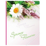 Папка на резинке Berlingo "Spring Flowers" А4, 550мкм, рисунок