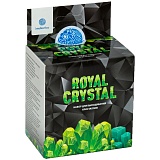 Набор для выращивания кристаллов Intellectico "Royal Crystal. Зеленый"