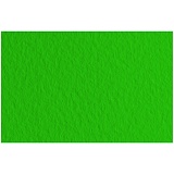 Бумага для пастели 10л. 500*650мм Fabriano "Tiziano", 160г/м2, зеленый темный