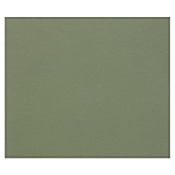 Цветная бумага 500*650мм., Clairefontaine "Tulipe", 25л., 160г/м2, зелёный океан, лёгкое зерно