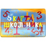 Обложка-карман для карт и пропусков ДПС "Школьник", 64*96мм, ПВХ