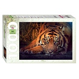 Пазл 1000 эл. Step Puzzle "Animal collection. Сибирский тигр"