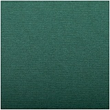Бумага для пастели 25л. 500*650мм Clairefontaine "Ingres", 130г/м2, верже, хлопок, темно-зеленый
